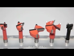 Le carbure de tungstène de la jambe 10x20mm a inséré le peu de perceuse en bois de trou d'astuce